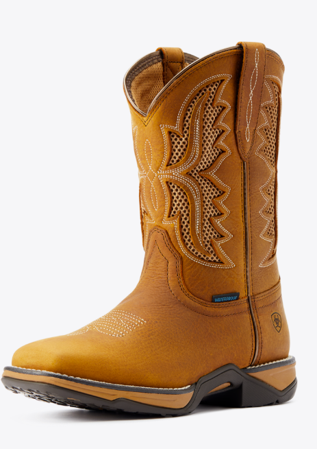 Ariat WMS Anthem VentTEK Waterproof Western Boot